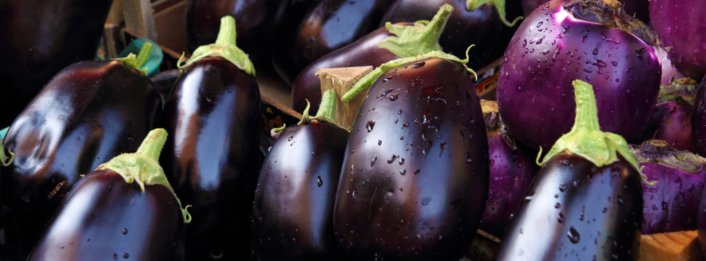 Taks_marktsegmenten_aubergines_back2