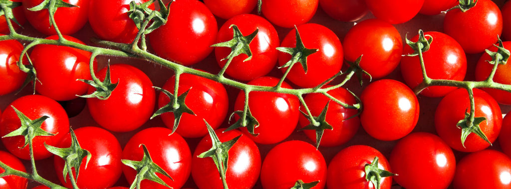 Taks_marktsegmenten_cherrytomaten_back3