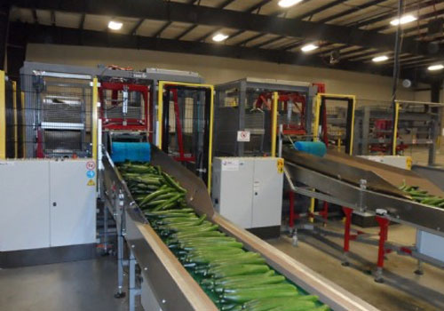 Double cucumber container system - Taks Handling Systems